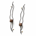 Light in a Pod – Sculptural Iron Wall Sconce