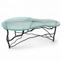 Organic Form Coffee Table – Sculptural Glass & Iron
